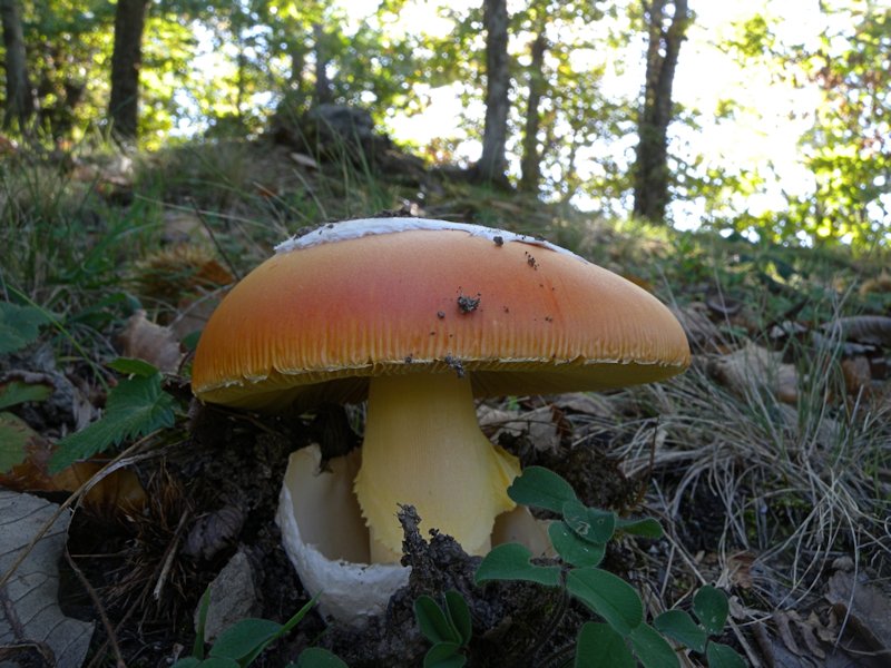 Forse l''ultima bellissima giornata..!!